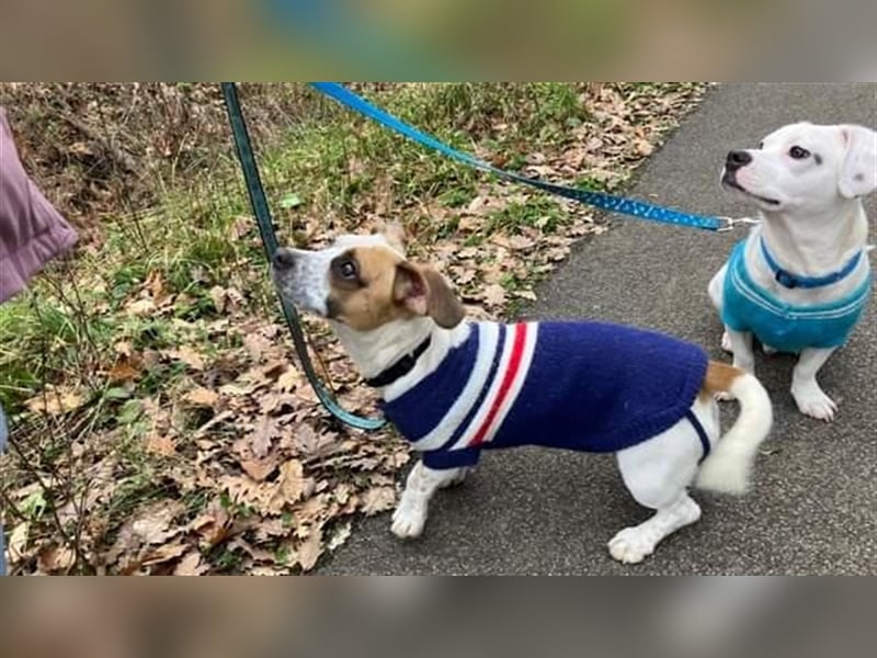 Lizzy und Bobby wünschen sich ein neues Zuhause