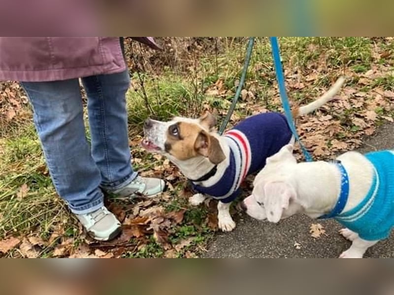 Lizzy und Bobby wünschen sich ein neues Zuhause