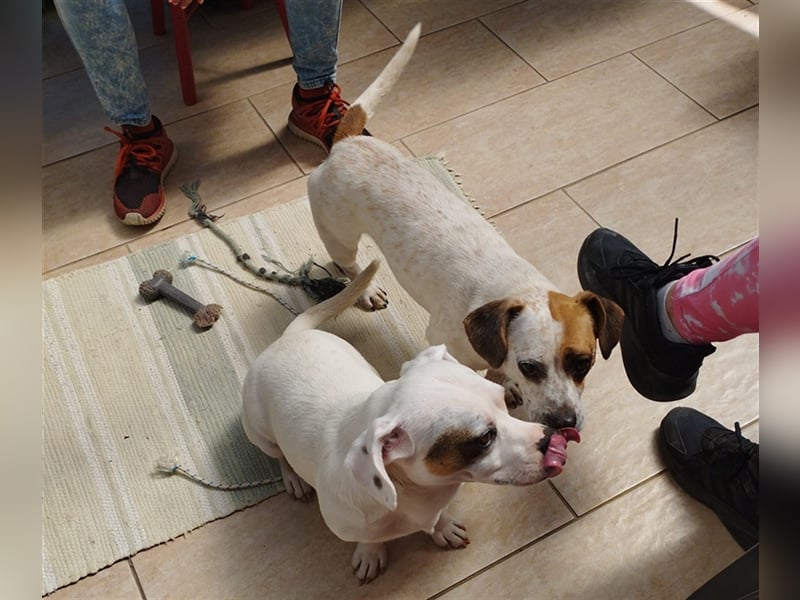 Lizzy und Bobby wünschen sich ein neues Zuhause