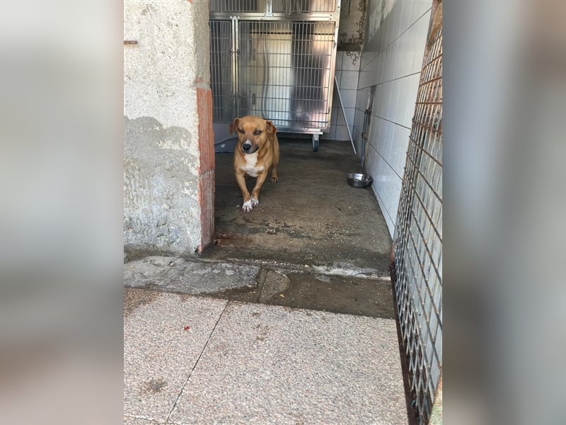AMY sucht ihr Traumzuhause