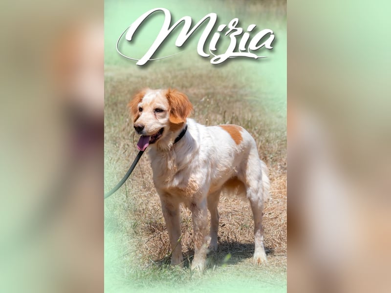 Mizia - ein reizendes Mädchen