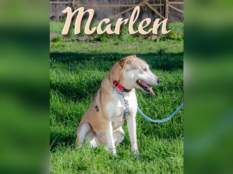 Marlen – etwas unsicher