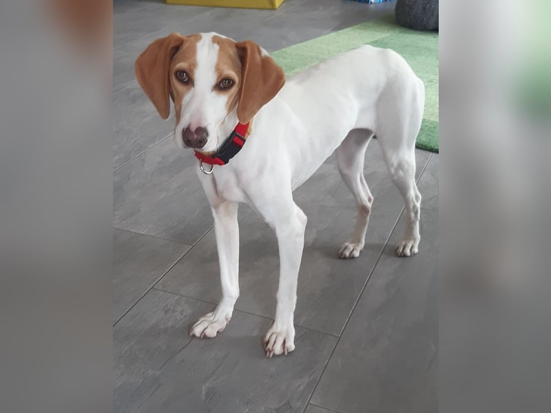 Liebenswerter Wildfang sucht Erziehungsberechtigte….
