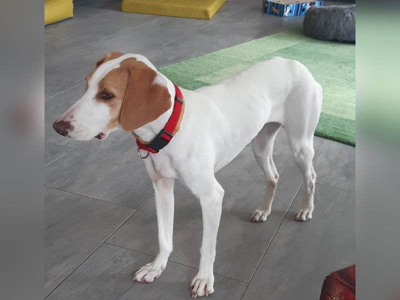 Liebenswerter Wildfang sucht Erziehungsberechtigte….
