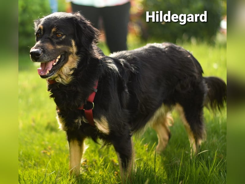 Hildegard - hübsch und lieb