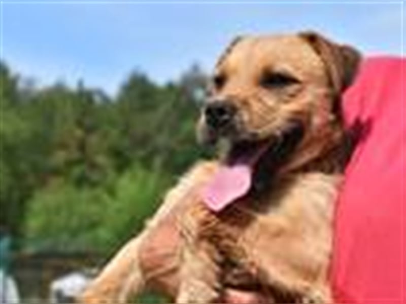 Zsuzsa sucht ihre Familie