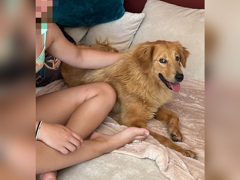 Buffy braucht ein fröhliches Zuhause