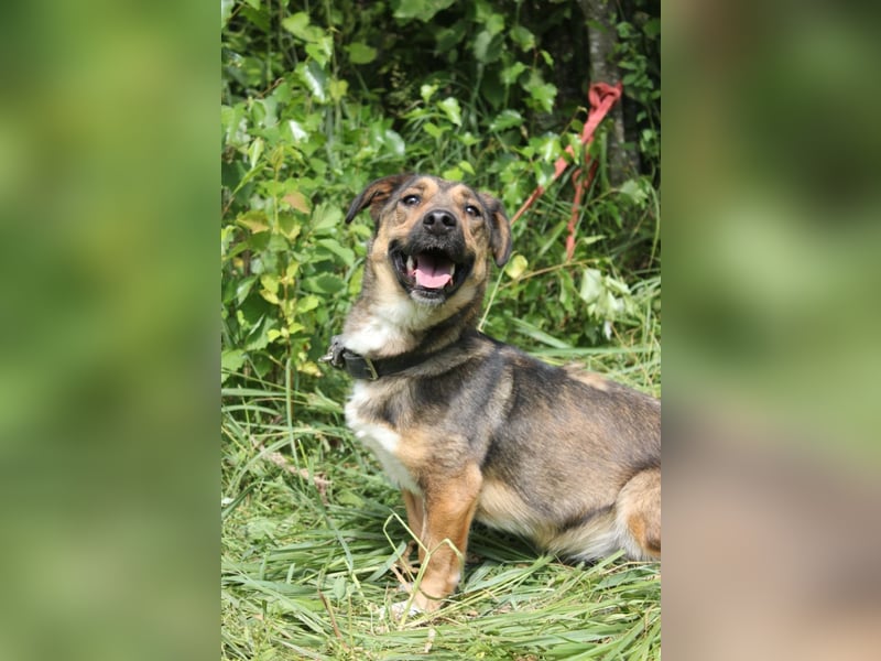Zauberhafte kleine Henriette wünscht sich ein Zuhause