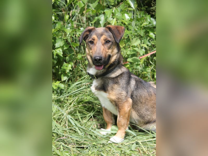 Zauberhafte kleine Henriette wünscht sich ein Zuhause