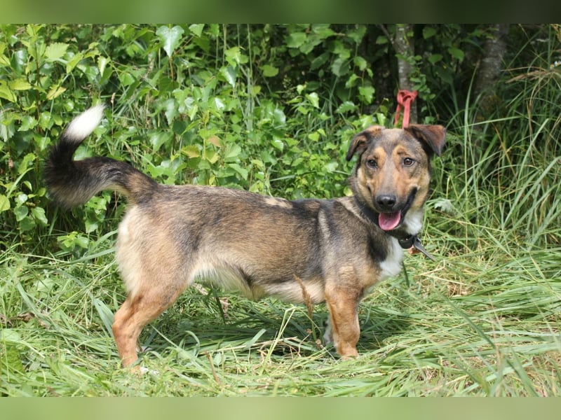 Zauberhafte kleine Henriette wünscht sich ein Zuhause