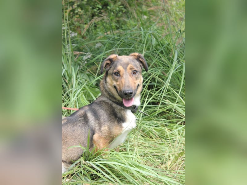 Zauberhafte kleine Henriette wünscht sich ein Zuhause