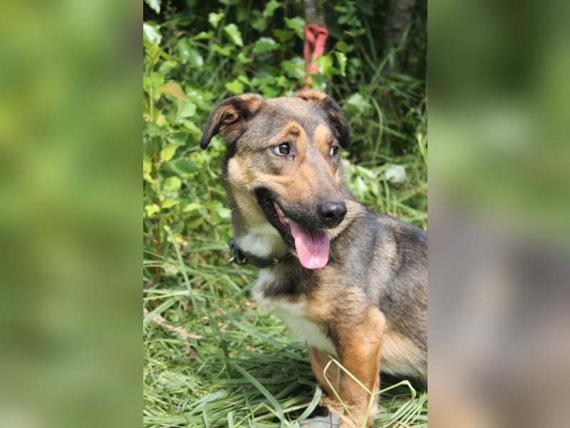 Zauberhafte kleine Henriette wünscht sich ein Zuhause