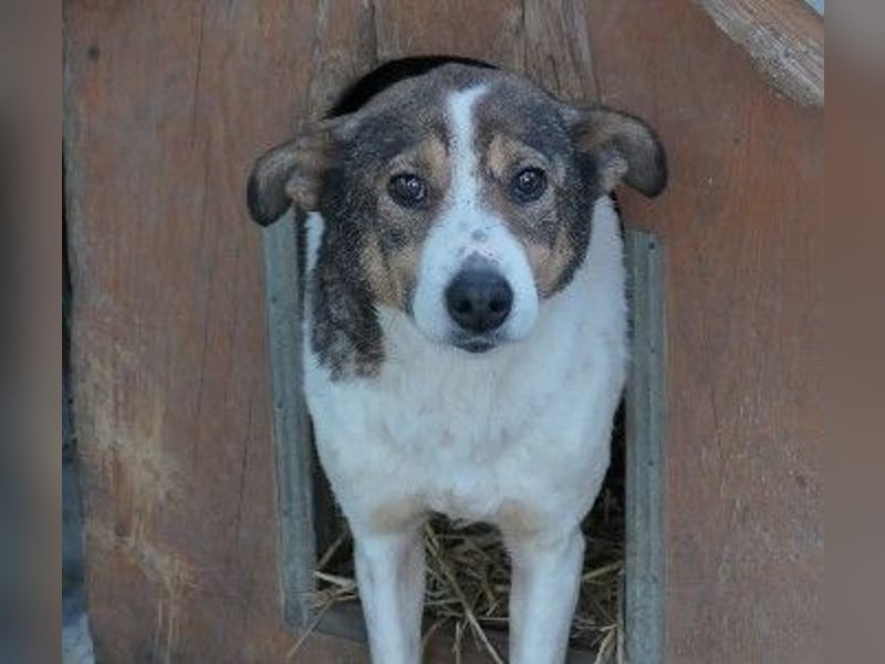 Freundliche, wundervolle Princess sucht ihre Familie