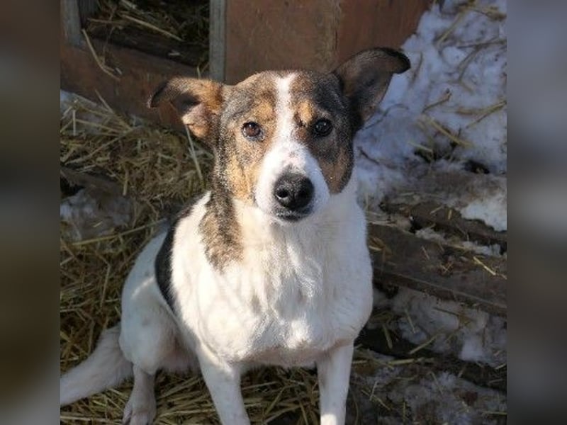 Freundliche, wundervolle Princess sucht ihre Familie