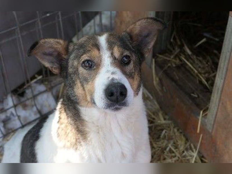 Freundliche, wundervolle Princess sucht ihre Familie