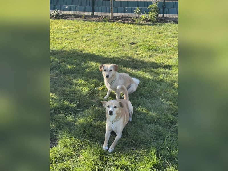 Sunny 6 Jahre und Emilie 4 Jahre