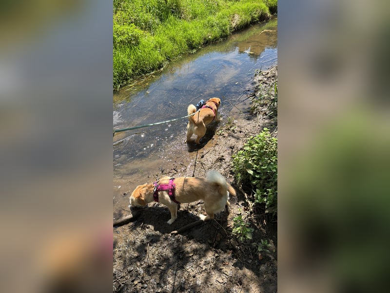 Sunny 6 Jahre und Emilie 4 Jahre