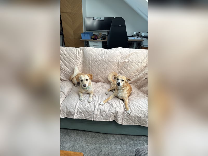 Sunny 6 Jahre und Emilie 4 Jahre