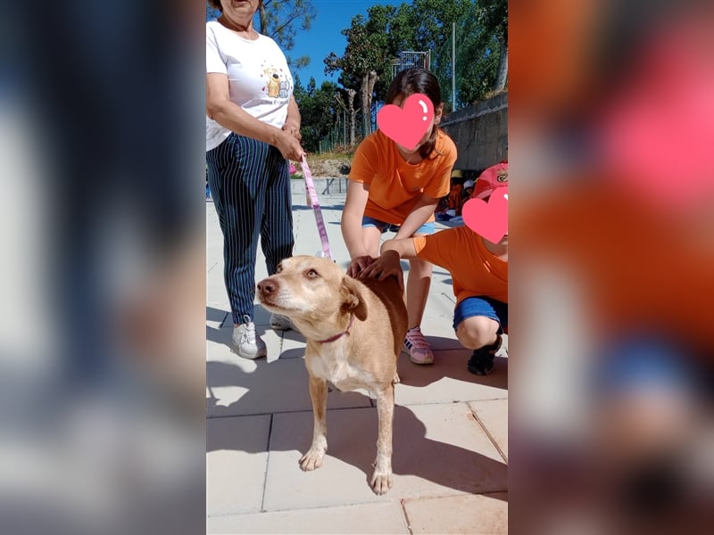 Liebe "Tininha" sucht noch ihr Zuhause