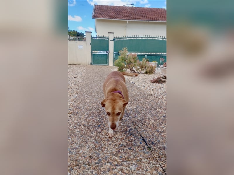 Liebe "Tininha" sucht noch ihr Zuhause