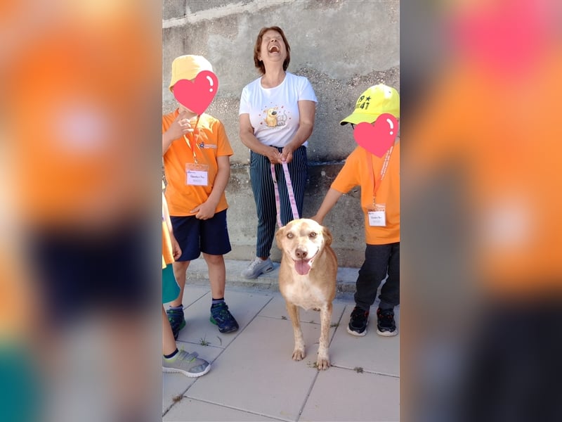 Liebe "Tininha" sucht noch ihr Zuhause