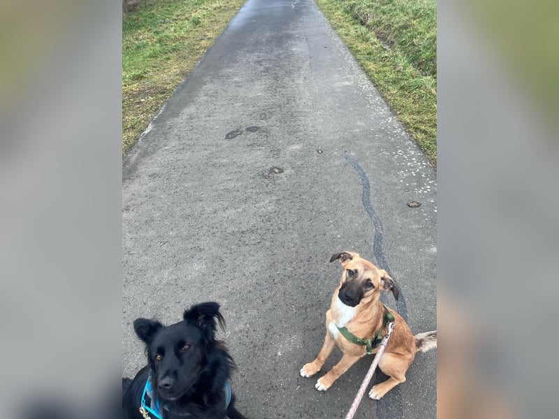 Lili Maus wartet in BY auf Zuhause