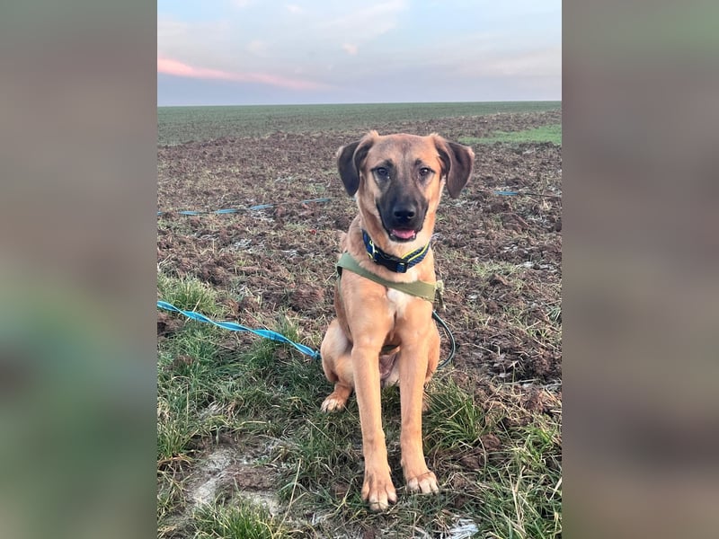 Lili Maus wartet in BY auf Zuhause