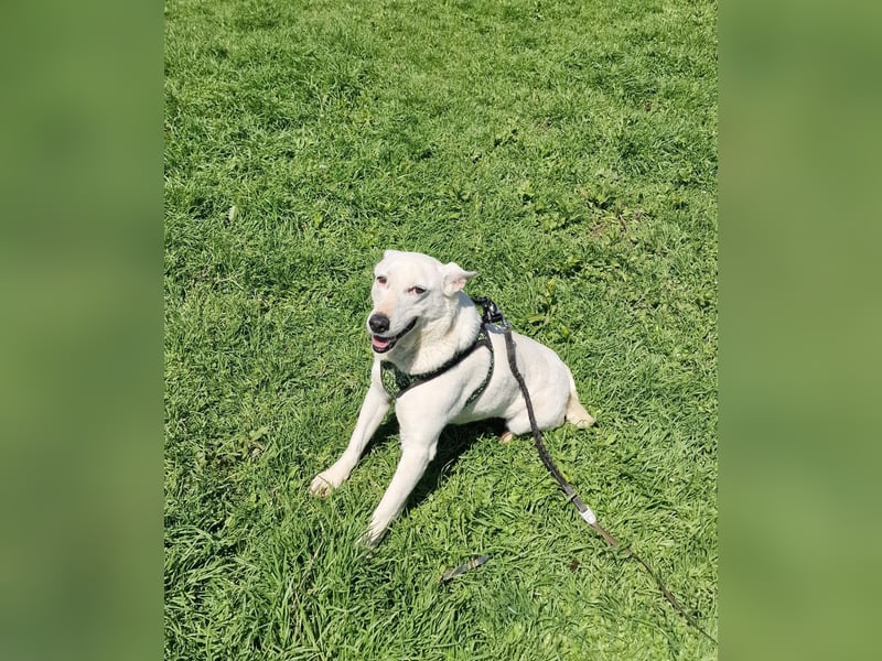Bella ein freundliches Mädchen