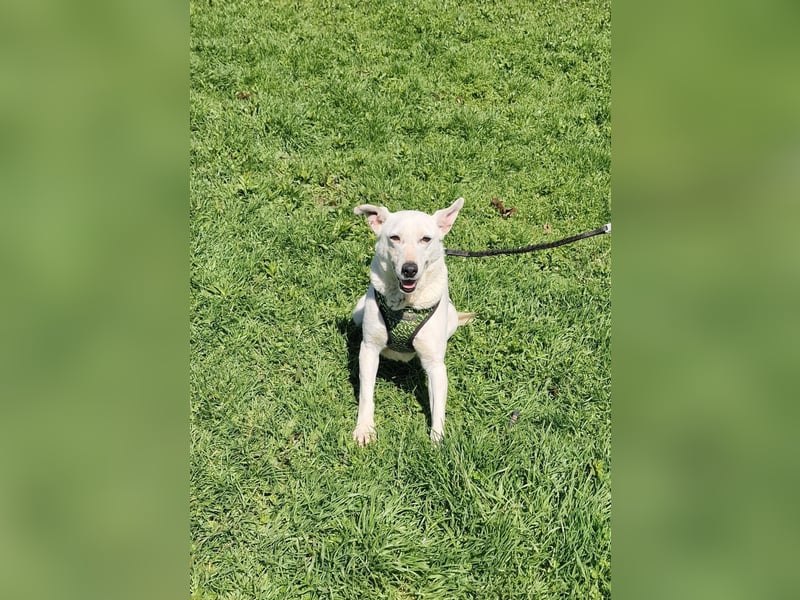 Bella ein freundliches Mädchen