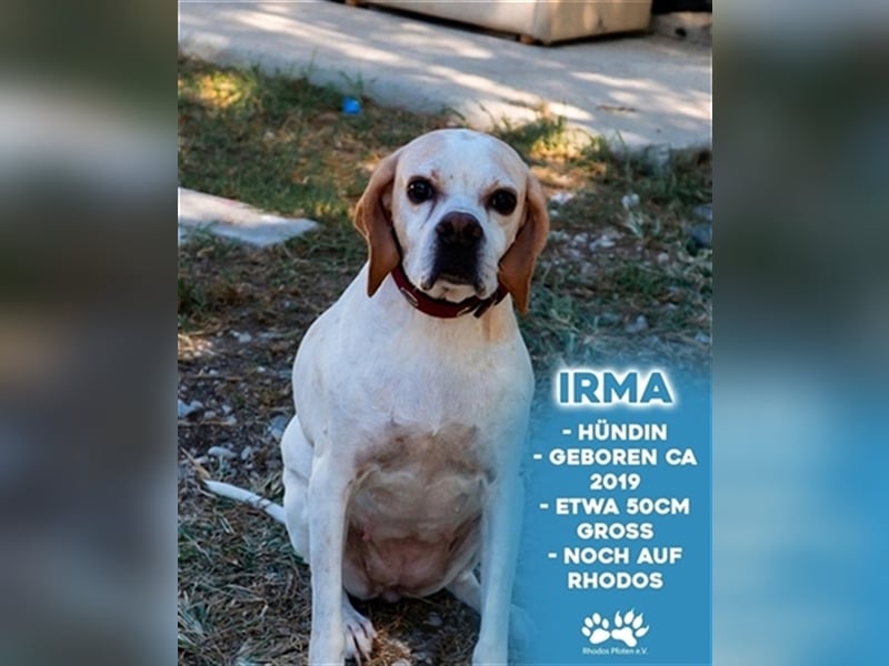 Irma sucht ihr zu Hause! ❤️