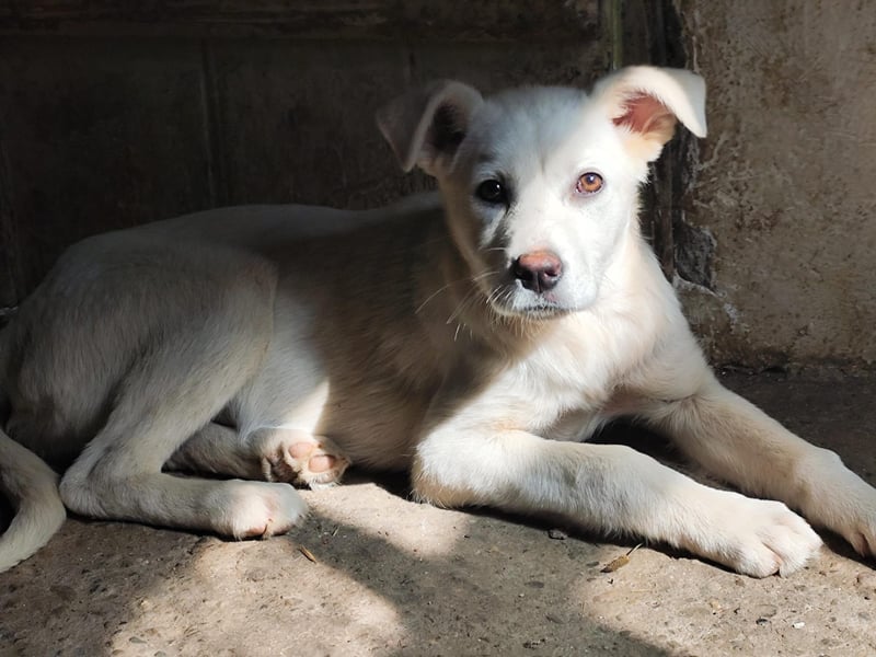 Celia – Lebensfroher Wirbelwind sucht ihre Familie fürs Leben!