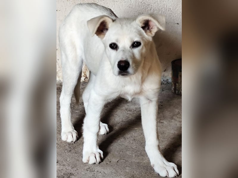 Celia – Lebensfroher Wirbelwind sucht ihre Familie fürs Leben!