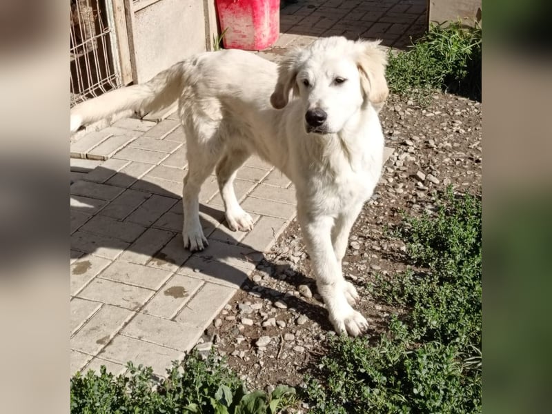 Maxi ist immer gut drauf