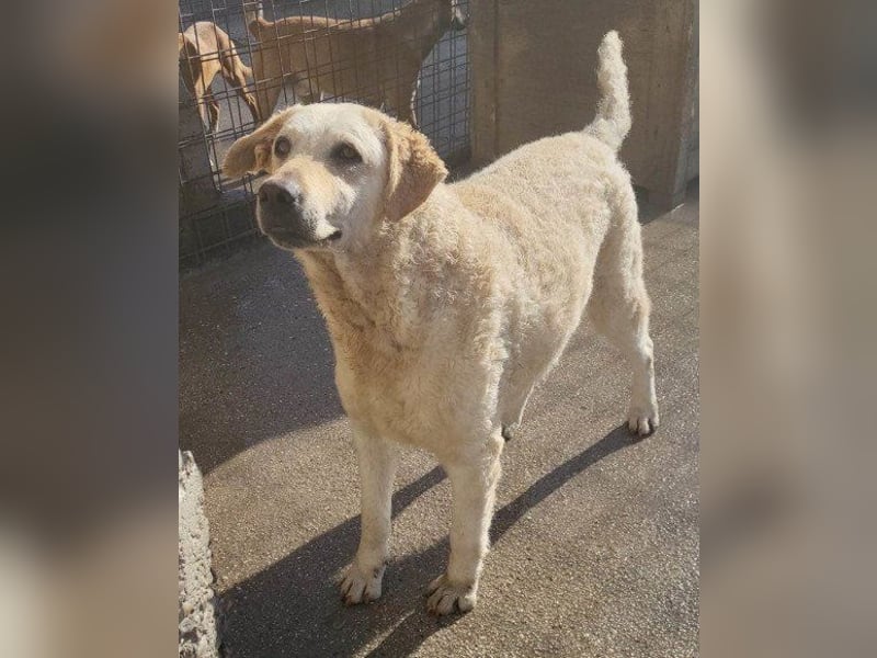 Tolle Lou sucht ihr Familienglück