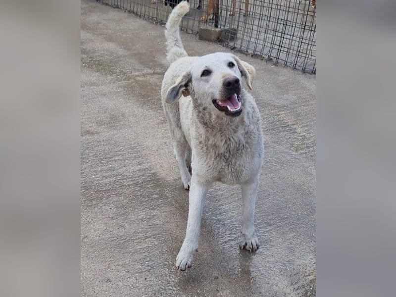 Tolle Lou sucht ihr Familienglück