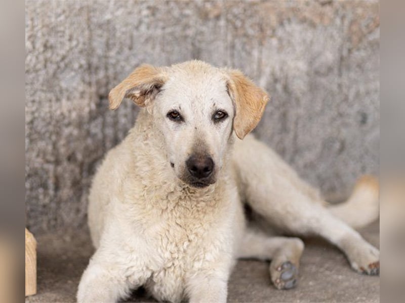 Tolle Lou sucht ihr Familienglück