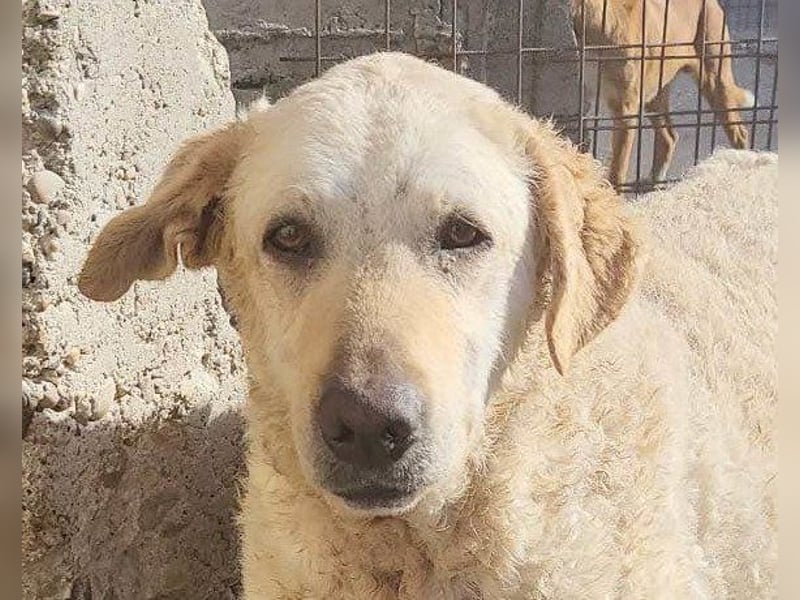 Tolle Lou sucht ihr Familienglück