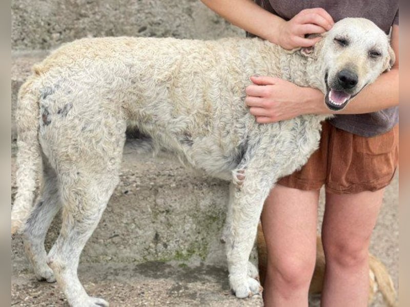 Tolle Lou sucht ihr Familienglück