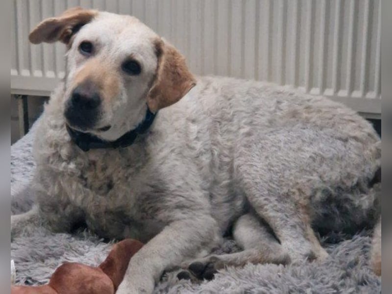 Tolle Lou sucht ihr Familienglück!