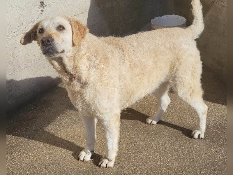 Tolle Lou sucht ihr Familienglück