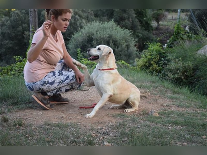 Lola