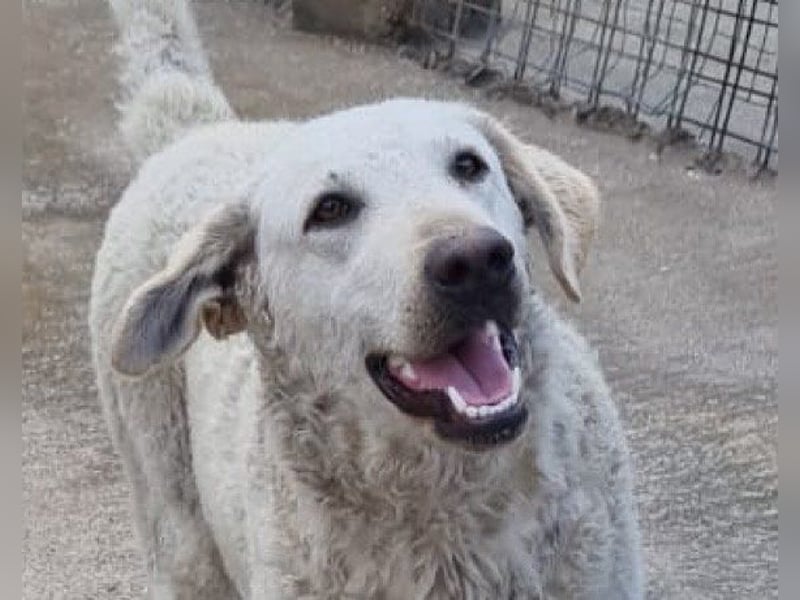 Tolle Lou sucht ihr Familienglück