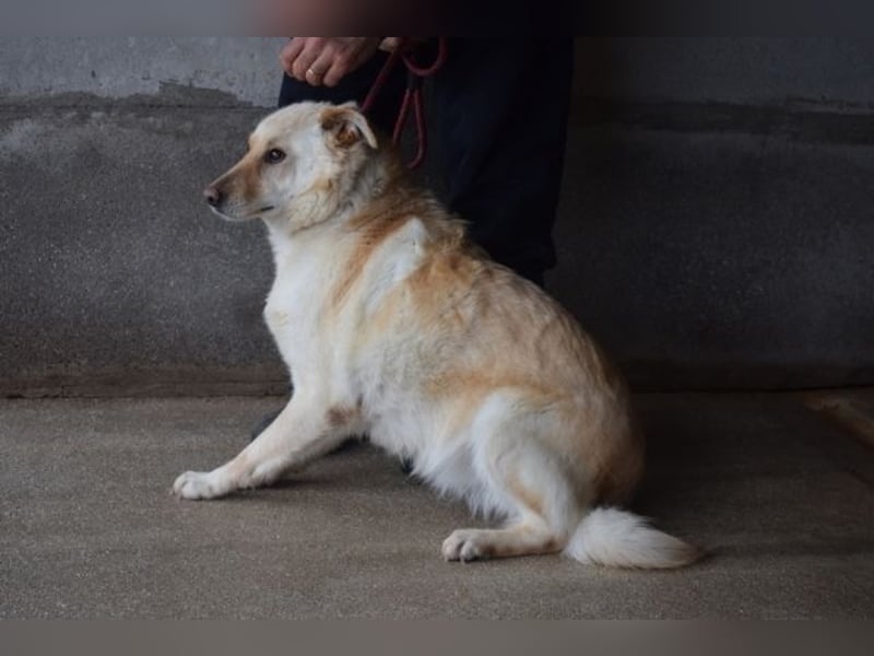 Addison - lange sitzen sie schon da und haben es schwer