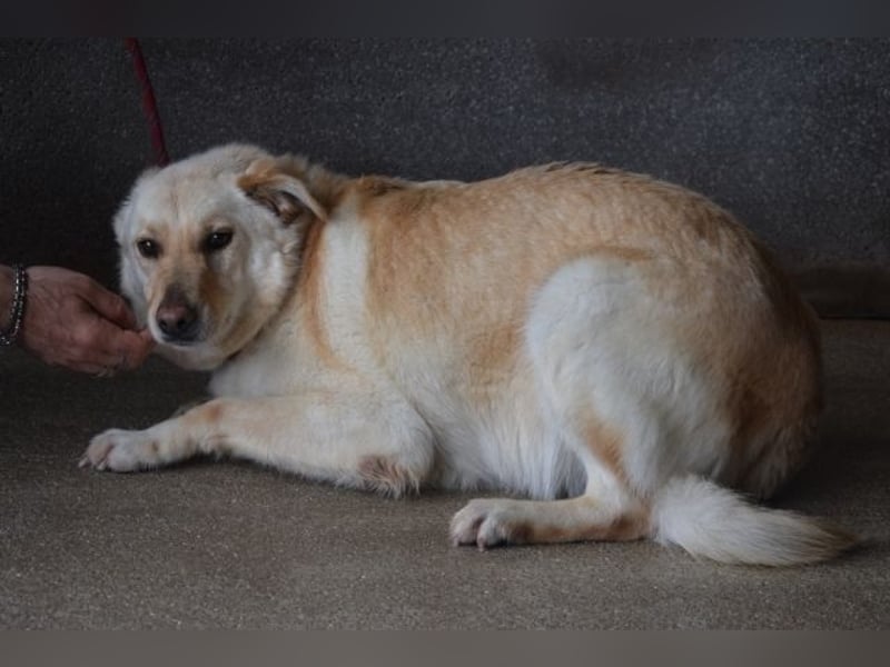 Addison - lange sitzen sie schon da und haben es schwer
