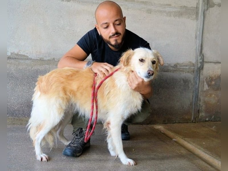 Addison - lange sitzen sie schon da und haben es schwer