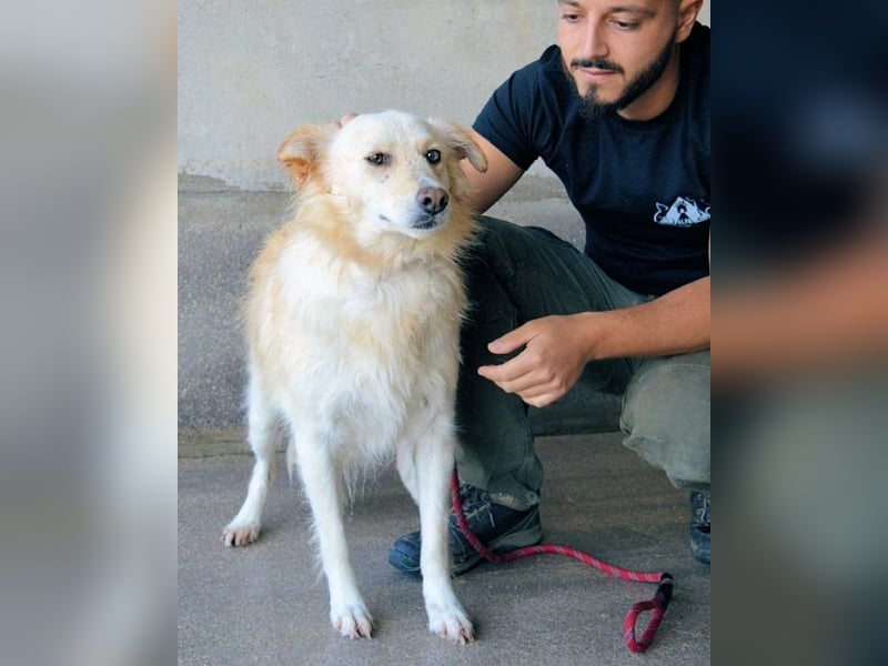 Addison - lange sitzen sie schon da und haben es schwer