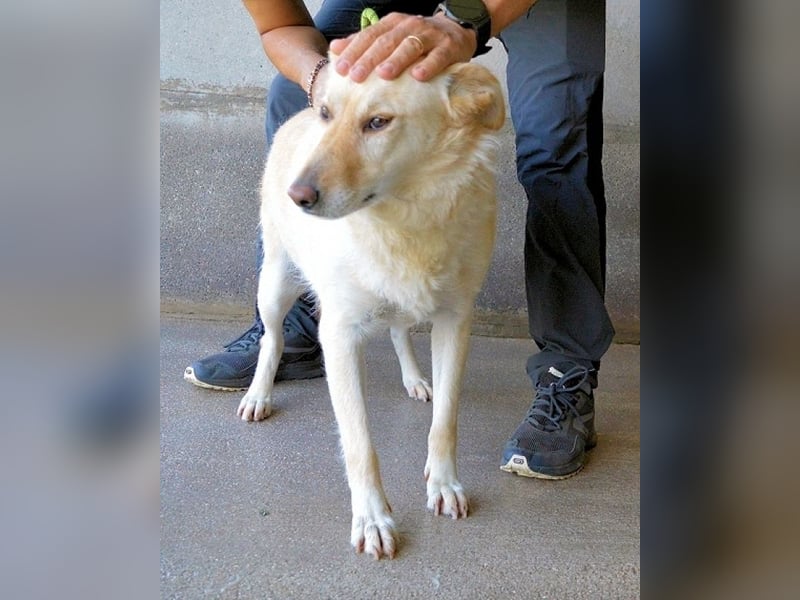 Addison - lange sitzen sie schon da und haben es schwer