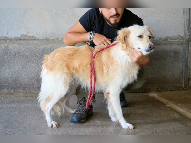 Addison - lange sitzen sie schon da und haben es schwer