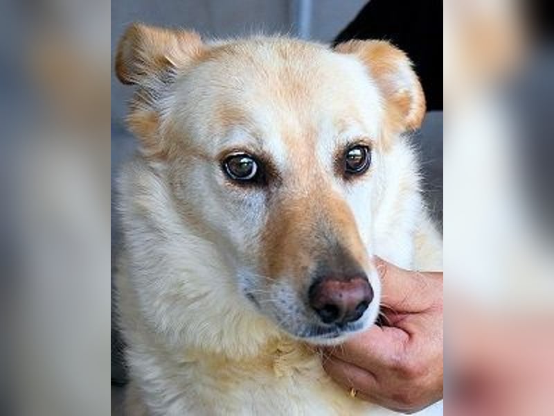 Addison - lange sitzen sie schon da und haben es schwer