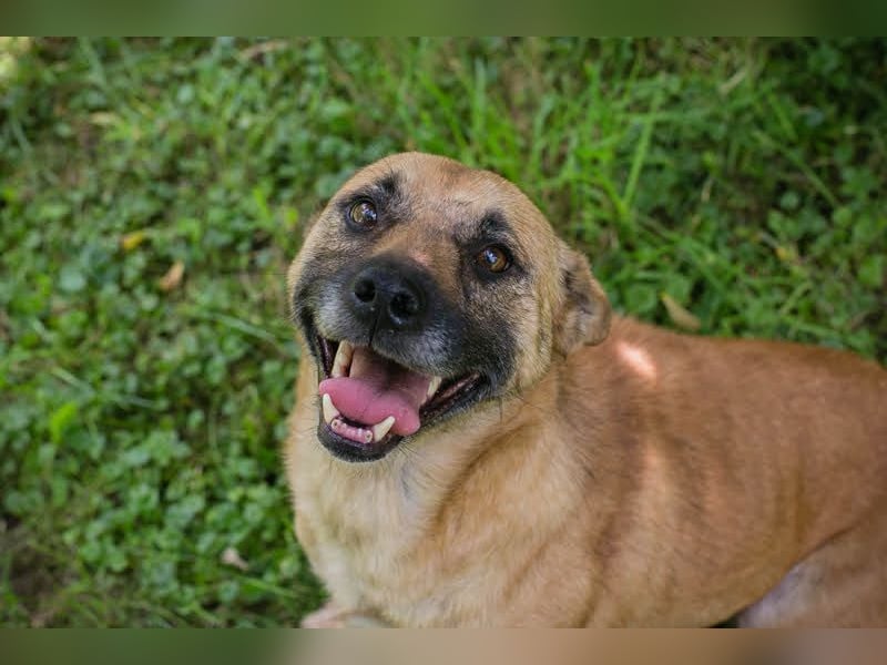 Greta: Liebenswerter Schatz